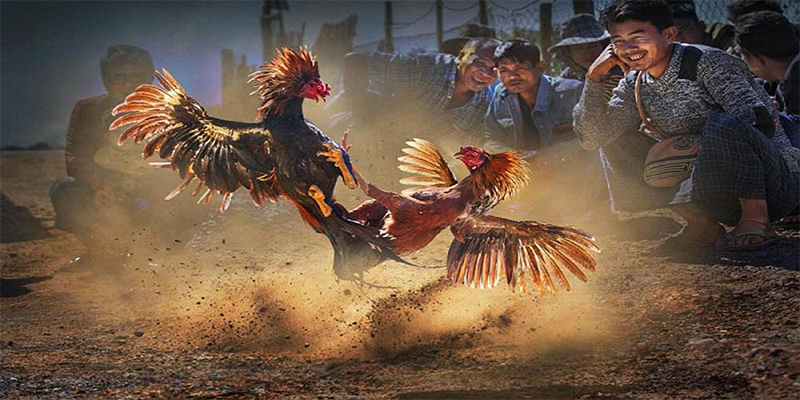 51live xổ số bữa nay