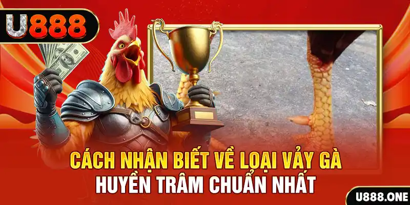 51live đăng nhập nổ hũ số 1
