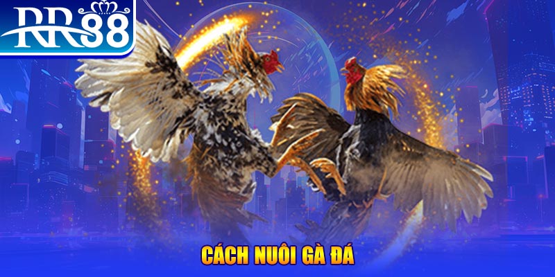 51live đăng nhập phỏm đổi thưởng