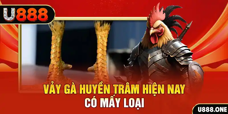 51live casino online là gì