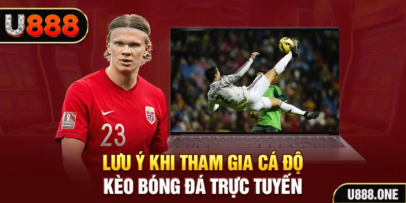 51live đăng nhập tiến lên miền nam khuyến mãi