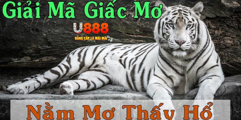 51live xổ số miền bắc xổ số miền bắc