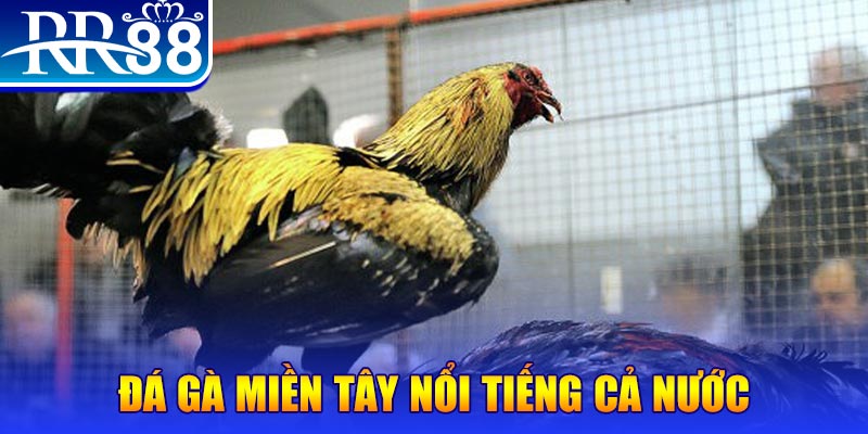 51live xổ số đại phát