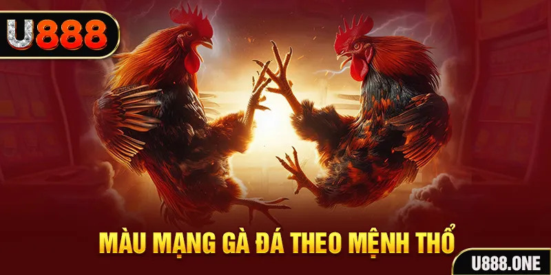 51live đăng nhập sòng bạc hàng đầu