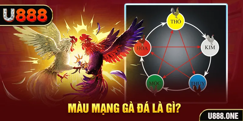 51live xổ số miền trung thứ tư hàng tuần