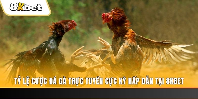 51live đăng nhập nổ hũ trực tuyến