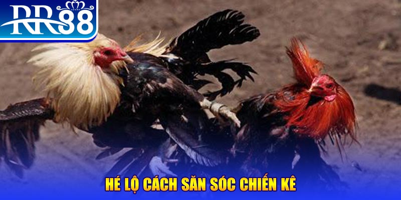 51live xổ số miền trung thứ tư