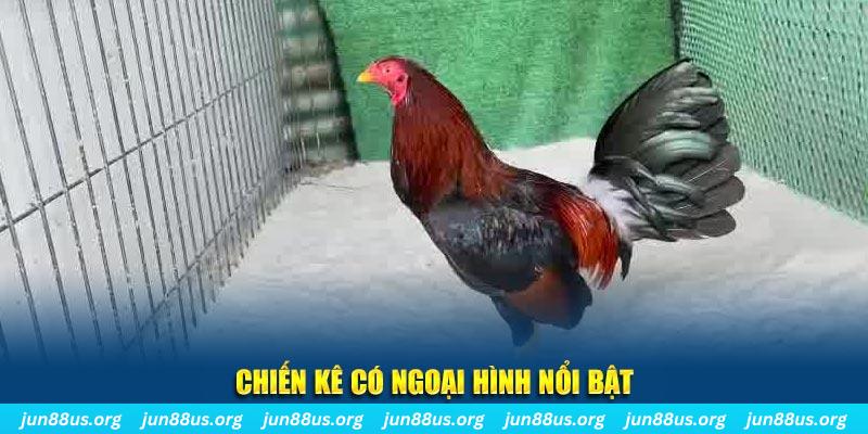 51live game bắn cá