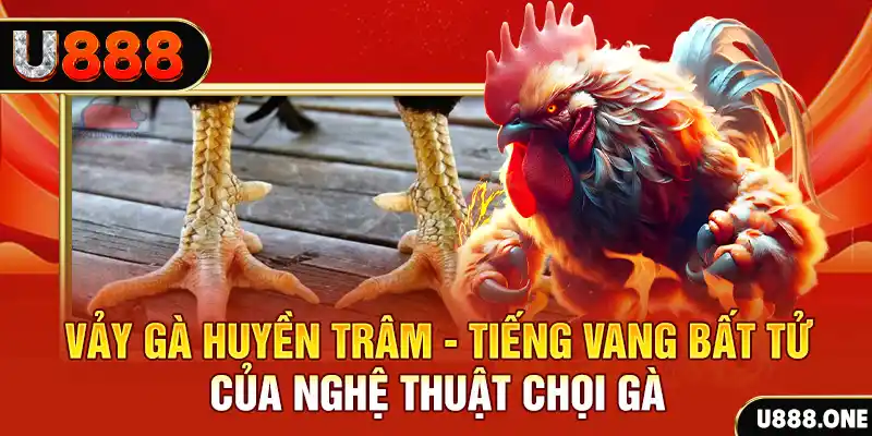 51live Cuộc gọi đã bị ngắt