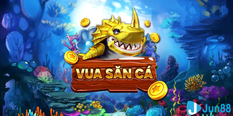 51live what is the best online casino